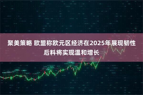 聚美策略 欧盟称欧元区经济在2025年展现韧性后料将实现温和增长
