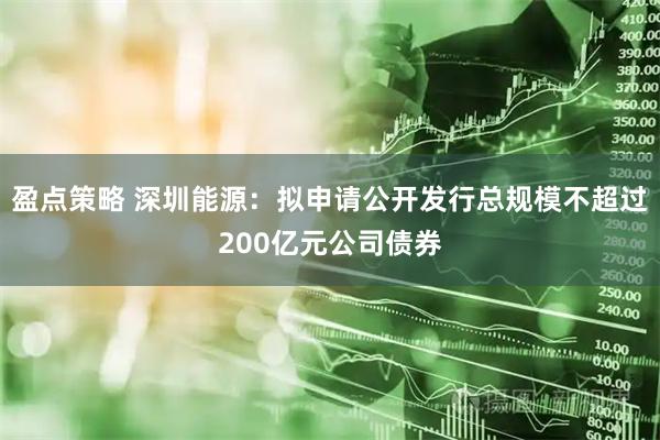 盈点策略 深圳能源：拟申请公开发行总规模不超过200亿元公司债券