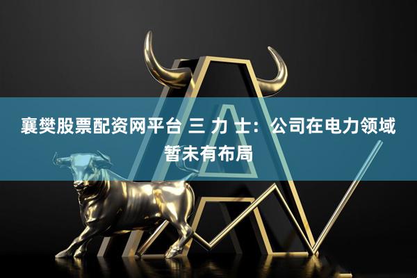 襄樊股票配资网平台 三 力 士：公司在电力领域暂未有布局