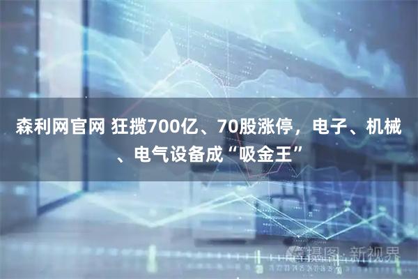森利网官网 狂揽700亿、70股涨停，电子、机械、电气设备成“吸金王”