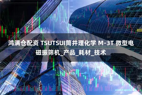 鸿满仓配资 TSUTSUI筒井理化学 M-3T 微型电磁振筛机_产品_耗材_技术