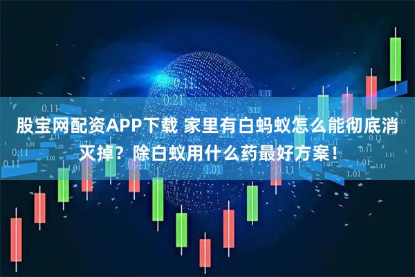 股宝网配资APP下载 家里有白蚂蚁怎么能彻底消灭掉？除白蚁用什么药最好方案！