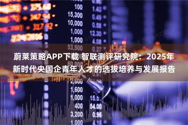蔚莱策略APP下载 智联测评研究院：2025年新时代央国企青年人才的选拔培养与发展报告